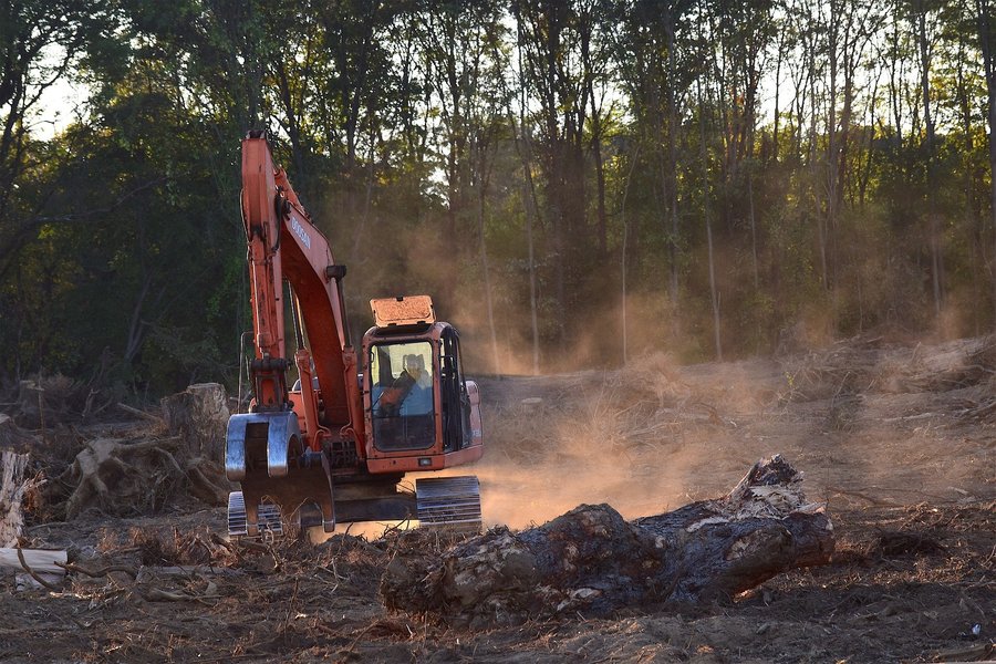 É de cinco anos o prazo para reaver bem apreendido por infração ambiental