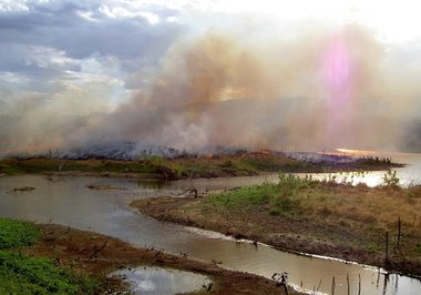 Proprietário rural é condenado a reparar danos ambientais em área de reserva